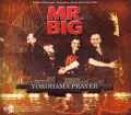 Mr.Big ミスター・ビッグ/Kanagawa 2011