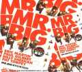 Mr.Big ミスター・ビッグ/Sapporo,Japan 6.5.2009