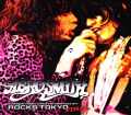 Aerosmith エアロスミス/Tokyo,Japan 2.9.1977 Another Version