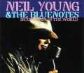 Neil Young ニール・ヤング/New York,USA 1988 Late