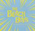 Beach Boys ビーチ・ボーイズ/Pennsylvania,USA 1980