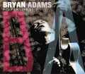 Bryan Adams ブライアン・アダムス/Osaka,Japan 2012