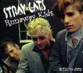 STRAY CATS ストレイ・キャッツ/live in tokyo 1981