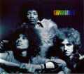 JIMI HENDRIX ジミ・ヘンドリックス/PSYCEDELIC EXPERIENCE