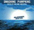 Smashing Pampkins スマッシング・パンプキンズ/Chiba,Japan 2010