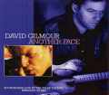 David Gilmour デヴィッド・ギルモア/California,USA 1984