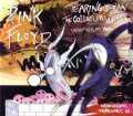 Pink Floyd ピンク・フロイド/New York,USA 2.27.1980