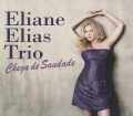 Eliane Elias Trio イリアーヌ・イリアス/Massachusetts,USA 2014