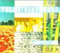 Pat Metheny Group パット・メセニー/Aichi,Japan 2002