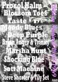 Various Artist/Bilzen Festival 1967-1969