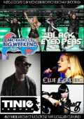 Various Artists Black Eyed Peas,Tinie Tempah,Jessie J/UK 2011