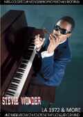 Stevie Wonder スティーヴィー・ワンダー/1970's Rare Compilation