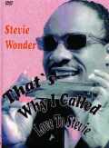 Stevie Wonder スティーヴィー・ワンダー/London 1995 & More