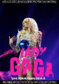 Lady Gaga レディー・ガガ/France 2014 & more