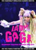 Lady Gaga レディー・ガガ/New York,USA 05.13.2014