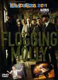 Flogging Molly フロッギング・モリー/Illinois,USA 2011