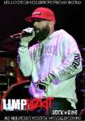 Limp Bizkit リンプ・ビズキット/Germany 2013
