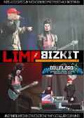Limp Bizkit リンプ・ビズキット/Donington Park 2009