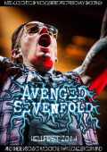 Avenged SevenFold アヴェンジド・セヴンフォールド/France 2014