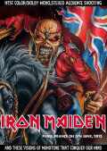 Iron Maiden アイアン・メイデン/France 2013
