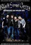 Black Stone Cherry ブラック・ストーン・チェリー/Minnesota,USA 2010