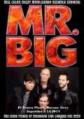 Mr.Big ミスター・ビッグ/Argentina 2015