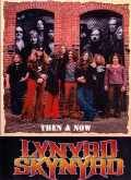 Lynyrd Skynyrd レイナード・スキナード/THEN & NOW