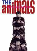 Animals アニマルズ/Video Collection