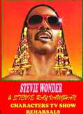 STEVIE WONDER&STEVIE RAY VAUGHAN/TV SHOW