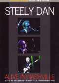 Steely Dan スティーリー・ダン/Tennessee,USA 1993