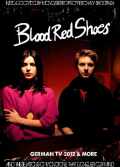 Blood Red Shoes ブラッド・レッド・シューズ/Germany 2012 & more