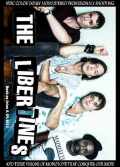 Libertines リバティーンズ/France 2015