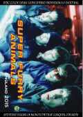 Super Furry Animals スーパー・ファーリー・アニマルズ/England,UK 2015