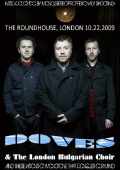 Doves ダヴズ/London,UK 2009