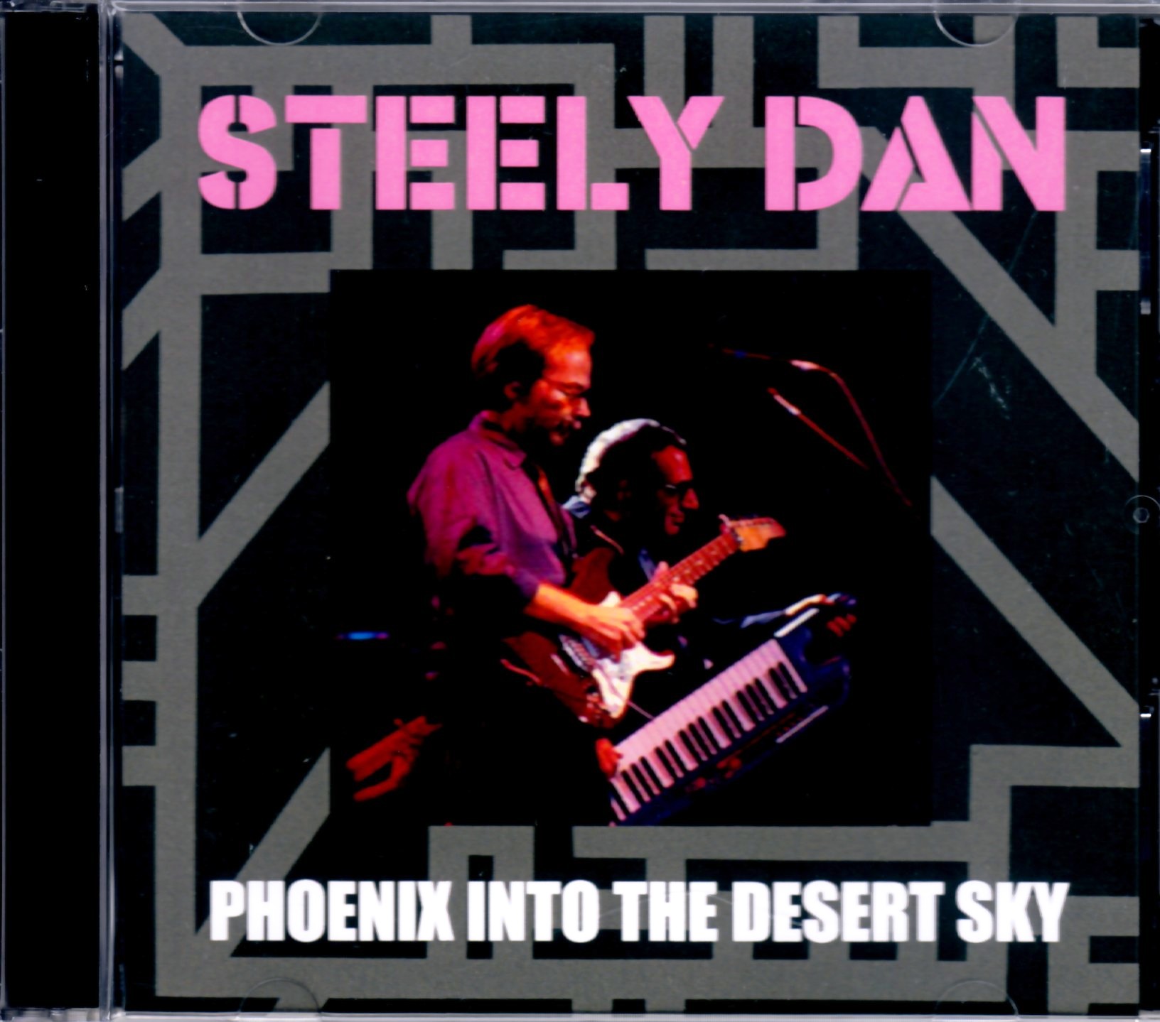 Steely Dan スティーリー・ダン/Arizona,USA 1993