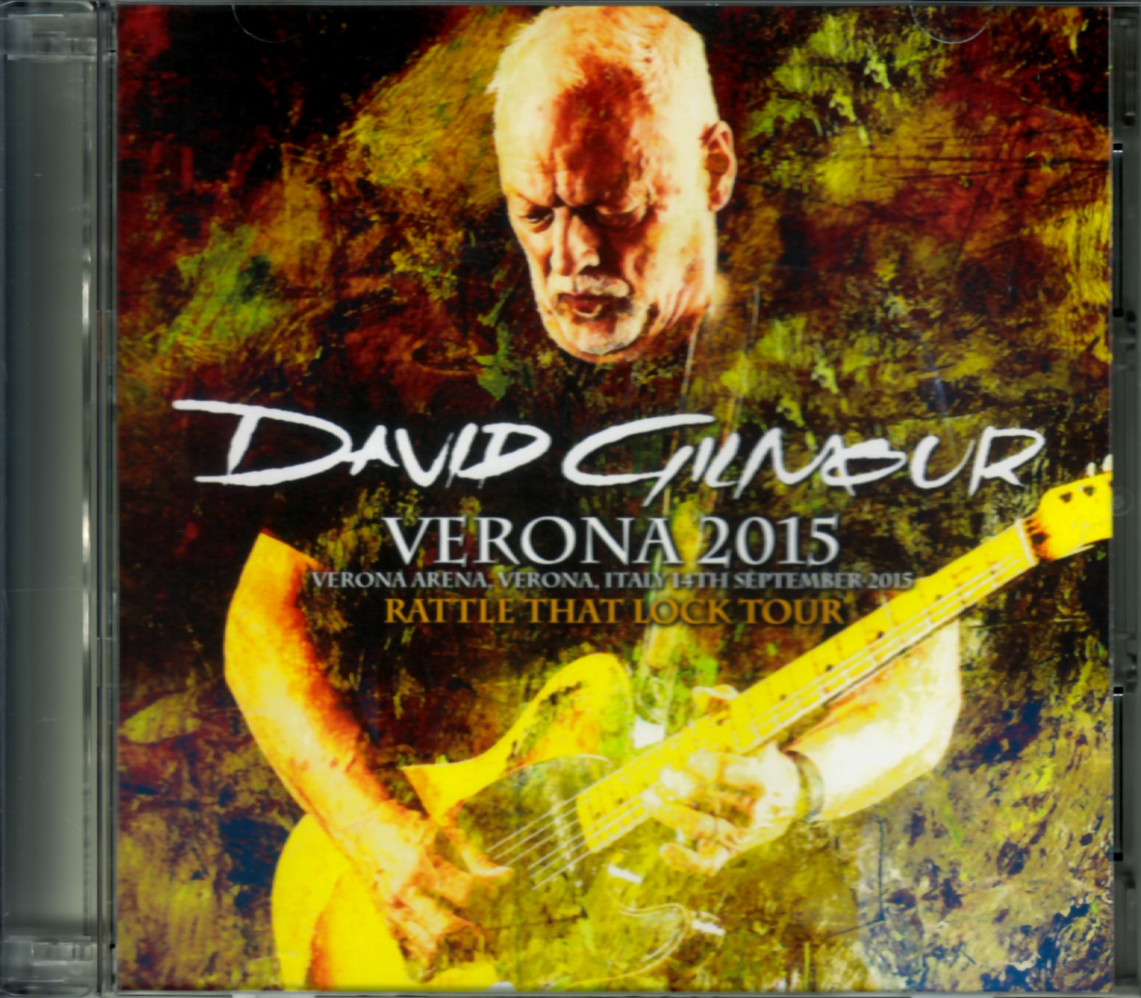 David Gilmour デヴィッド・ギルモア/Italy 2015