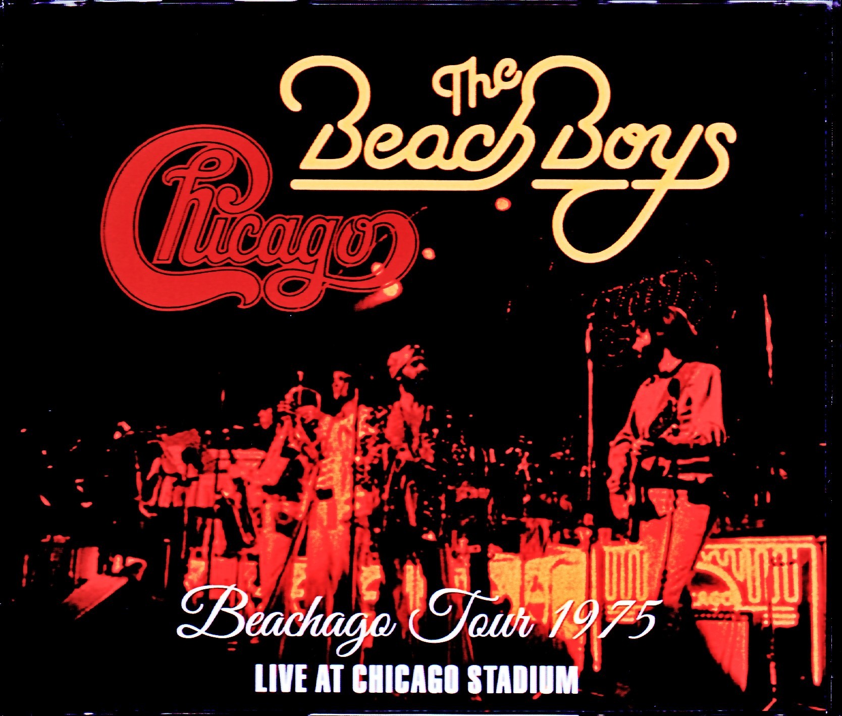 Beach Boys ビーチ・ボーイズ/IL,USA 1975