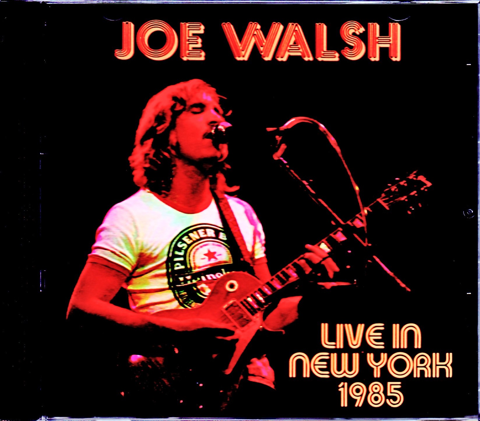 Joe Walsh ジョー・ウォルシュ/NY,USA 1985