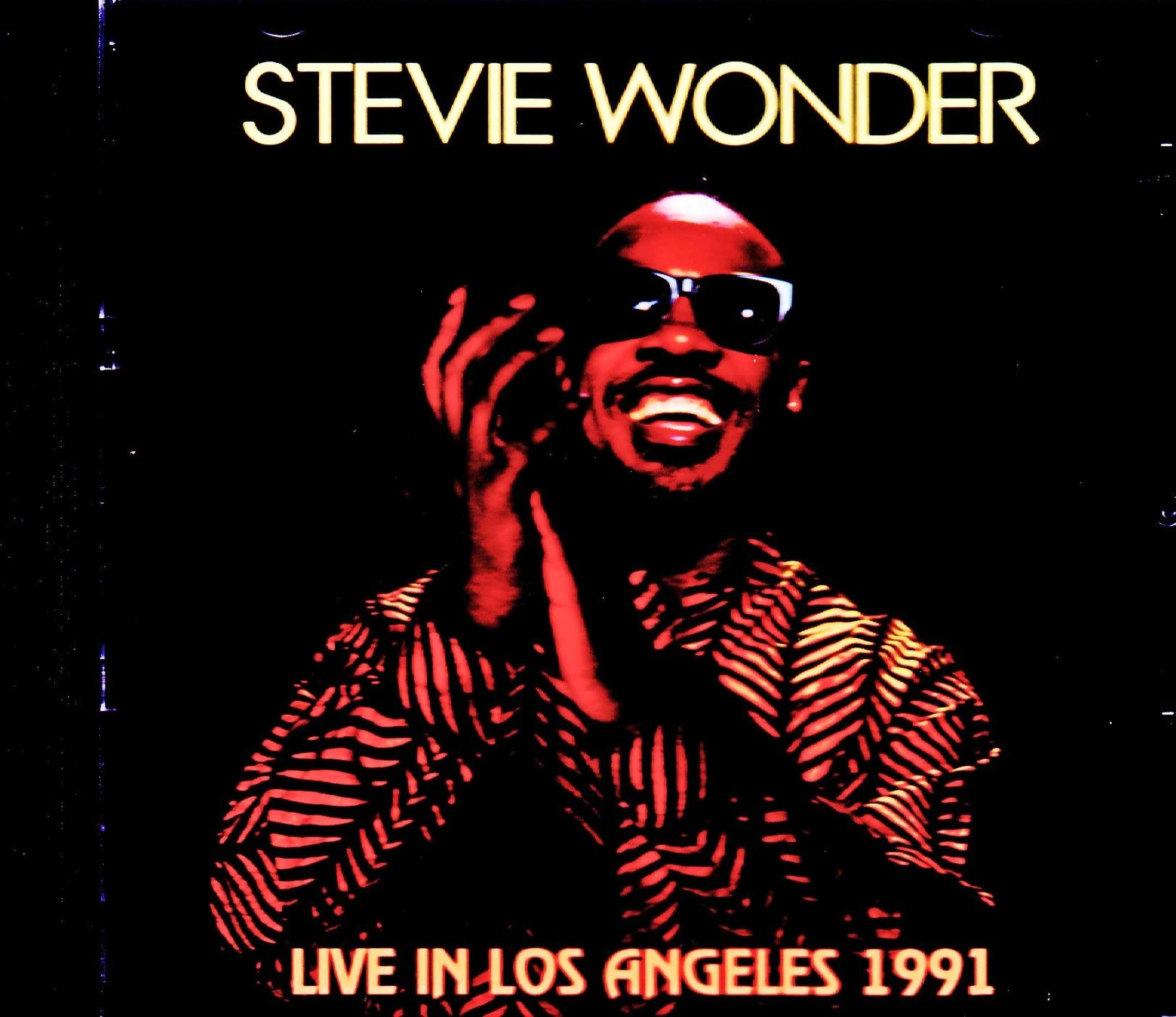 Stevie Wonder スティーヴィー・ワンダー/CA,USA 1991