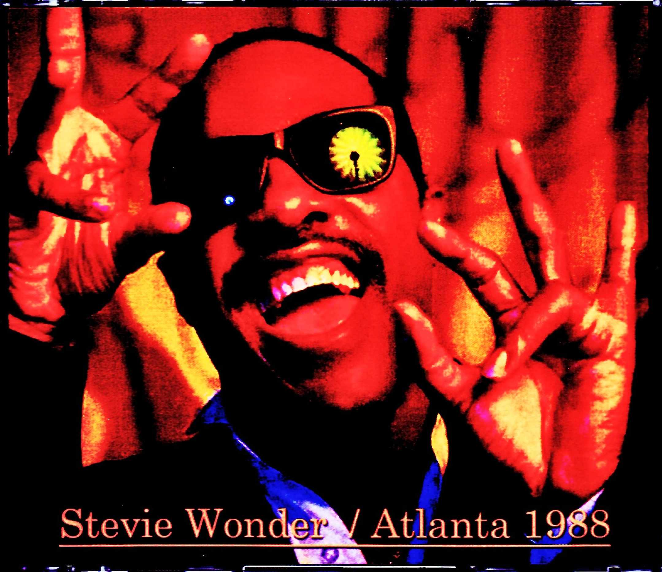 Stevie Wonder スティーヴィー・ワンダー/GA,USA 1988