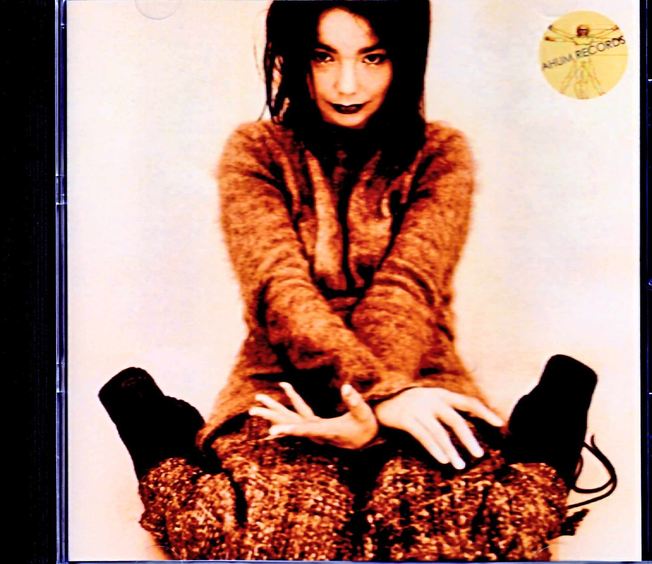 Bjork ビョーク/Germany 1993