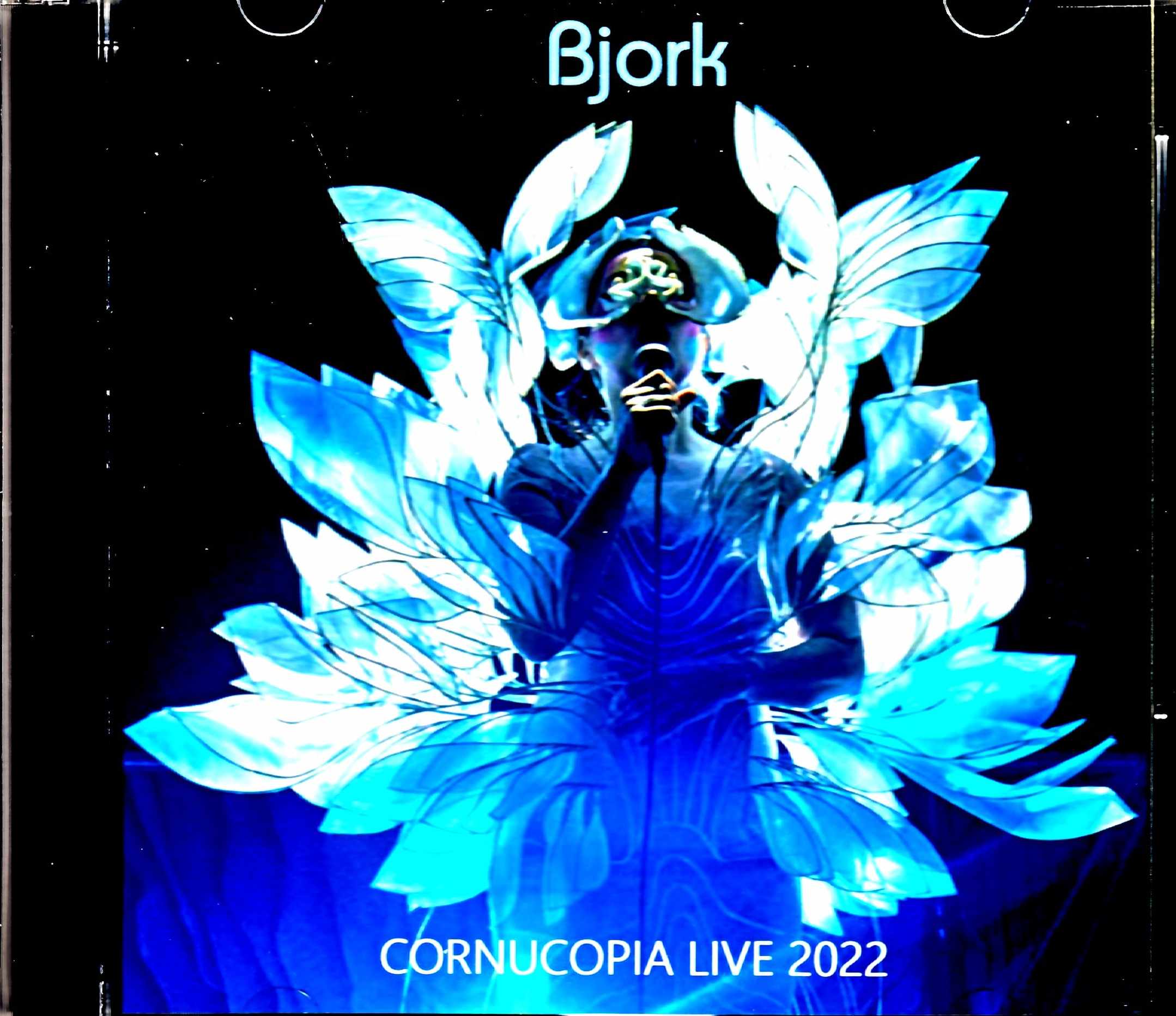 Bjork ビョーク/CA,USA 1.29.2022