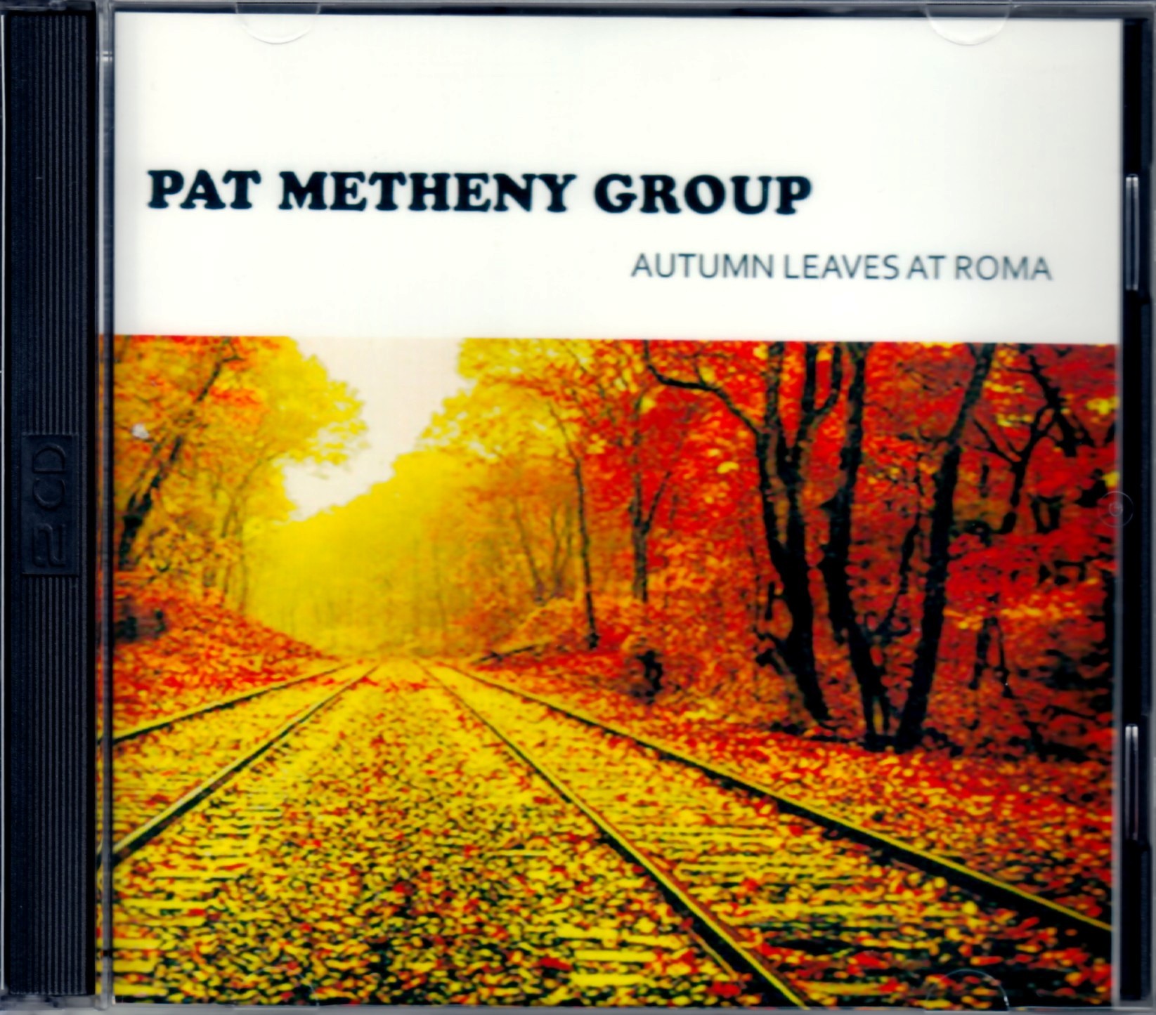 Pat Metheny パット・メセニー/Italy 1980