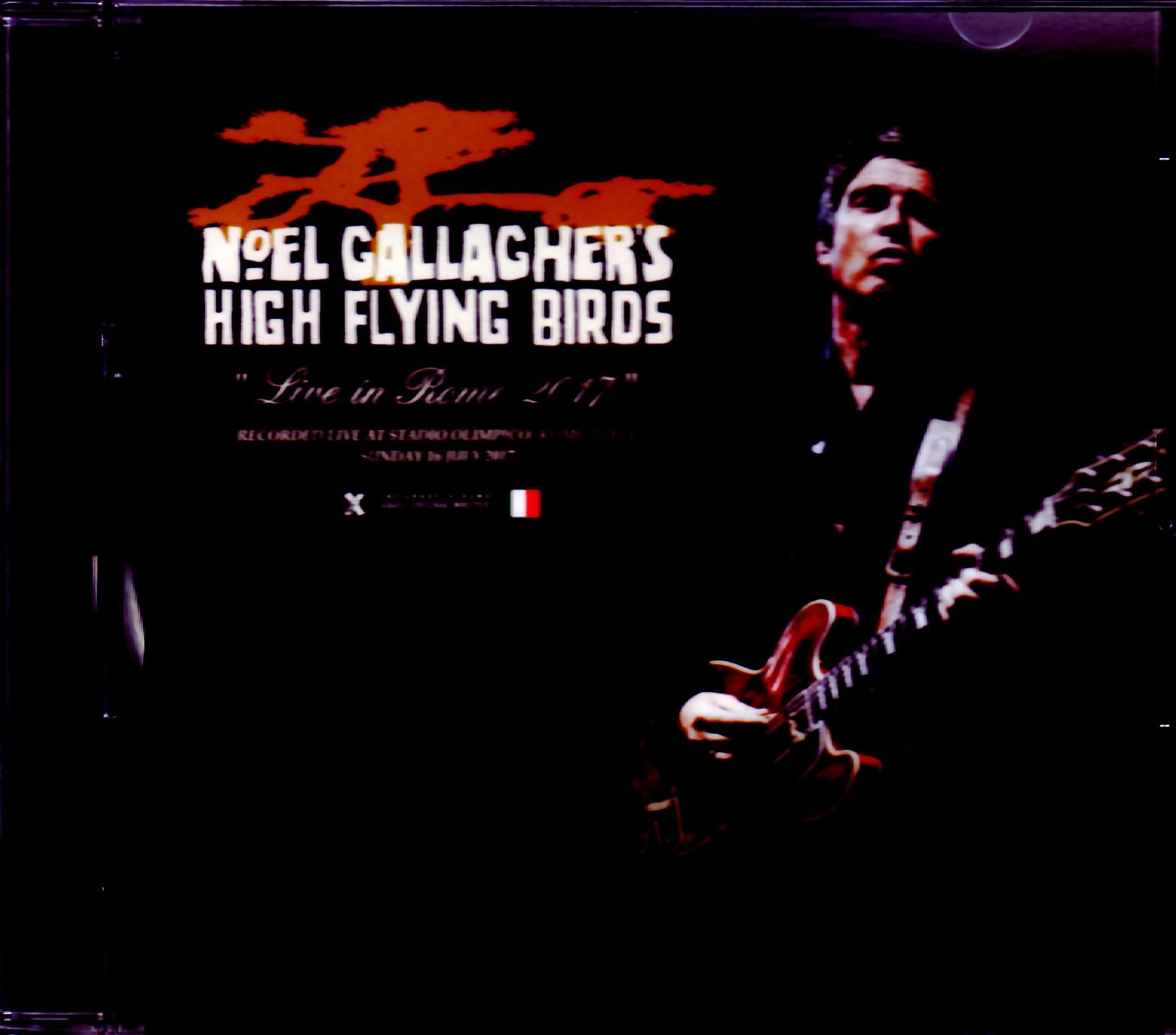 Noel Gallagher ノエル・ギャラガー/Italy 2017 & SC IEM Matrix Ver