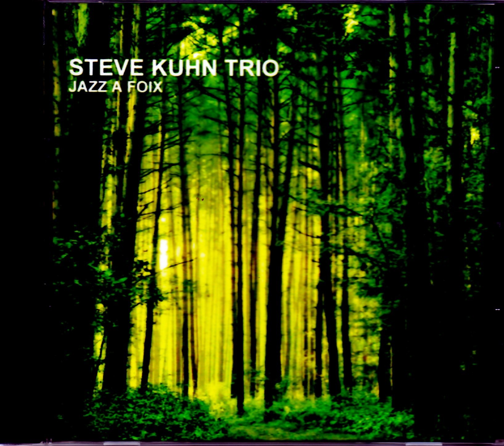 Steve Kuhn Trio スティーヴ・キューン/Italy 2012