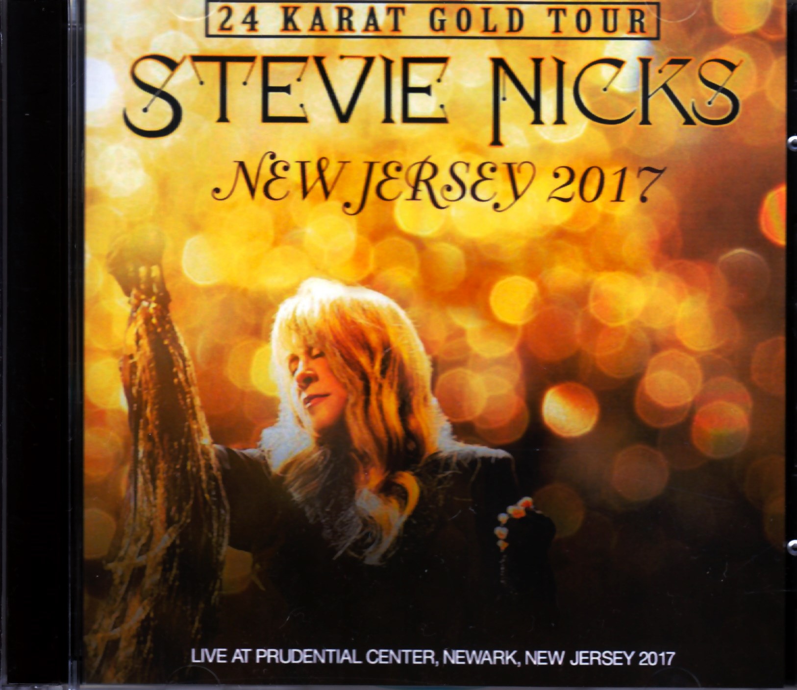 Stevie Nicks スティーヴィー ニックス Nj Usa 17