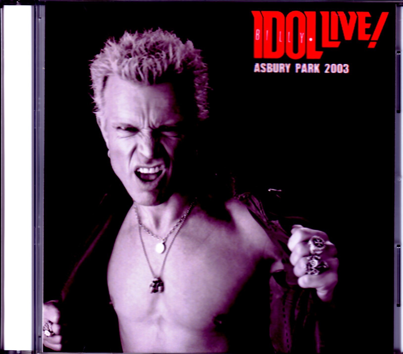 Billy Idol ビリー・アイドル/NJ,USA 2003