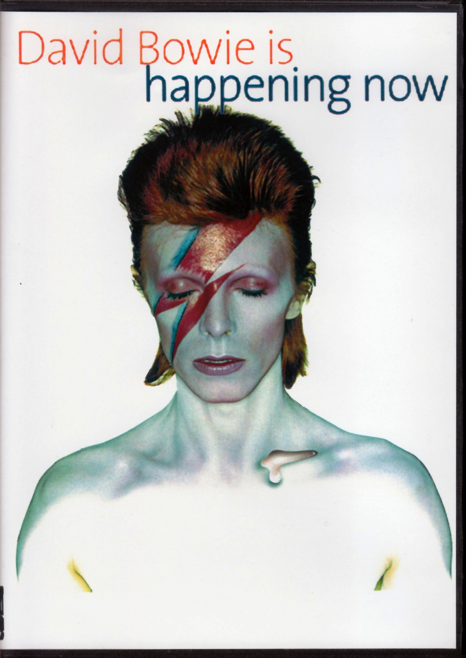 David Bowie デヴィッド・ボウイ/Live Documentary