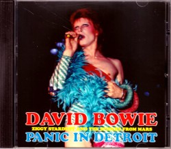 David Bowie デヴィッド・ボウイ/Michigan,USA 1973
