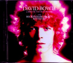 David Bowie デヴィッド・ボウイ/The 1969 Foxgrove Road Tape Huge Upgrade